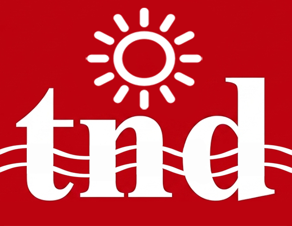 TheNewsDip